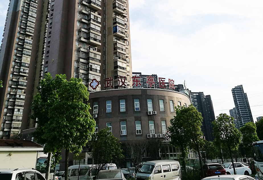 武汉东亭医院